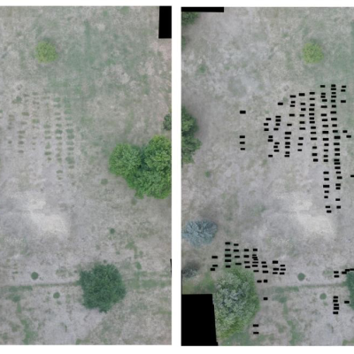 Map of graves apparent from the drone survey.